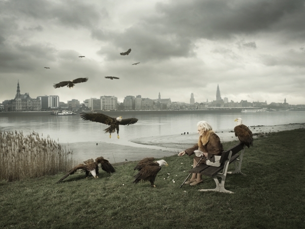 Photograph Geert De Taeye Harley Davidson Antwerp on One Eyeland